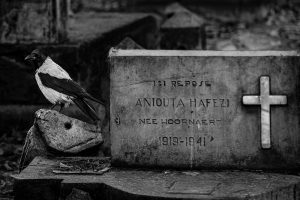 Zdjęcie: Akbar Shahbazi. Polski cmentarz w Teheranie.